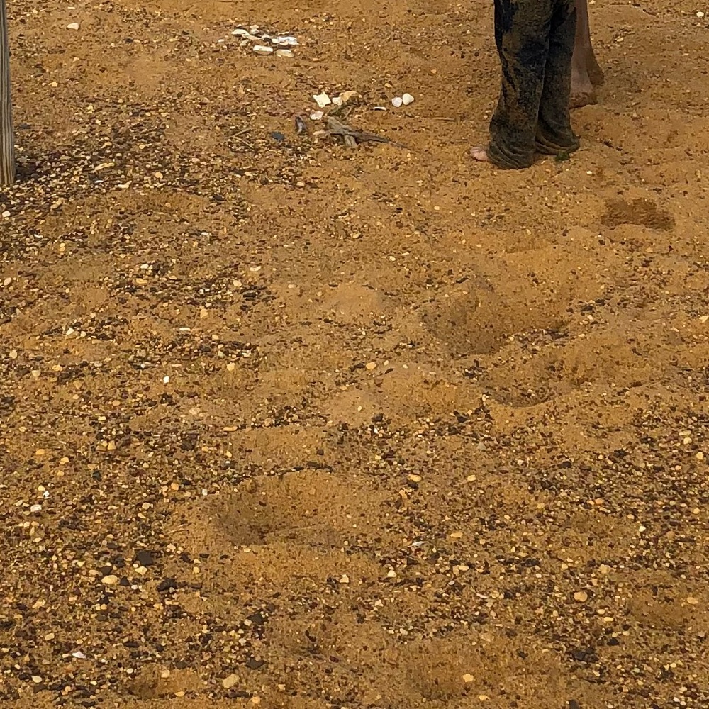 Meet your Posher, Mrs